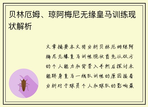 贝林厄姆、琼阿梅尼无缘皇马训练现状解析